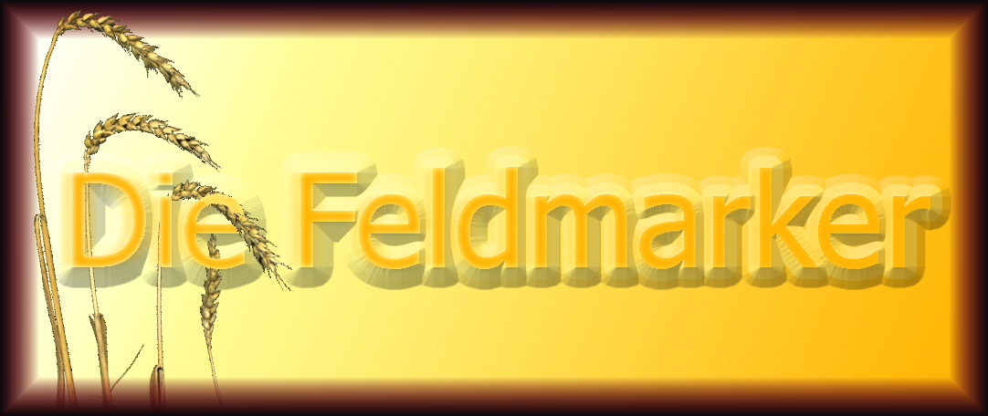 Altes Logo der Strassenzeitung Die Feldmarker
